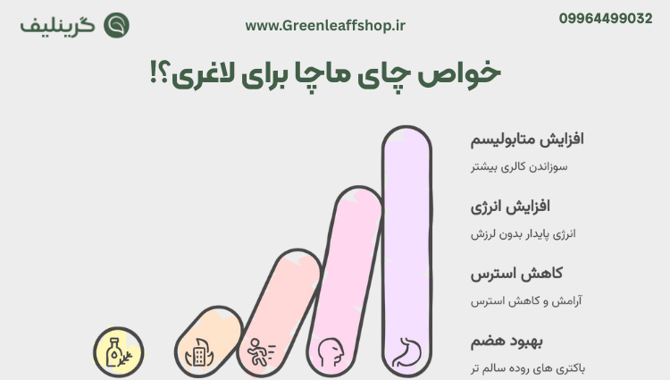ماچا برای لاغری