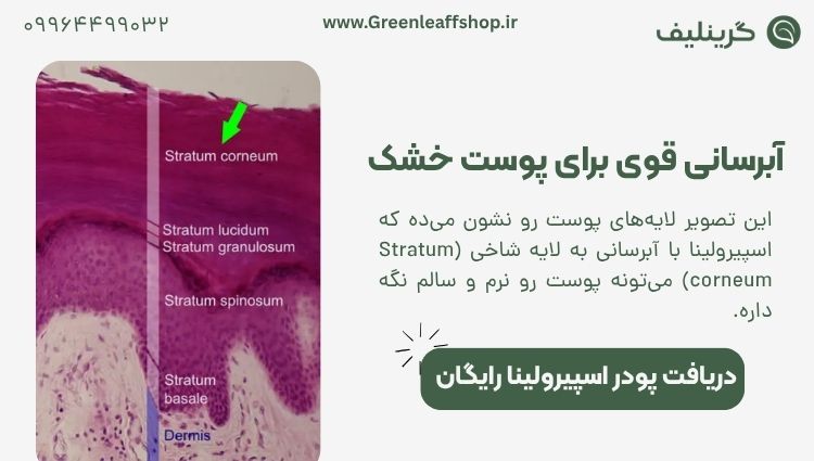 آبرسانی اسپیرولینا