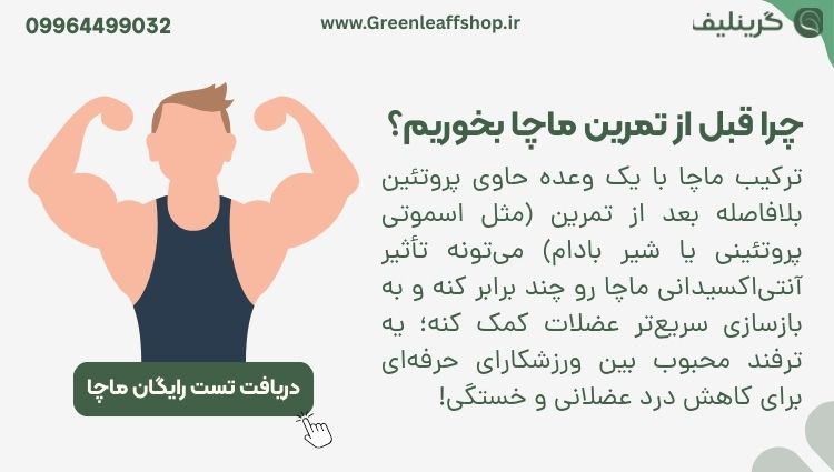 ماچا و عضله 