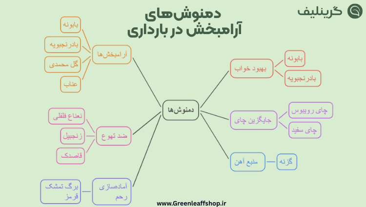 دمنوش آرامبخش در بارداری 