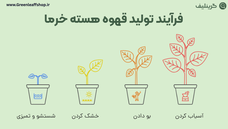 قهوه هسته خرما 